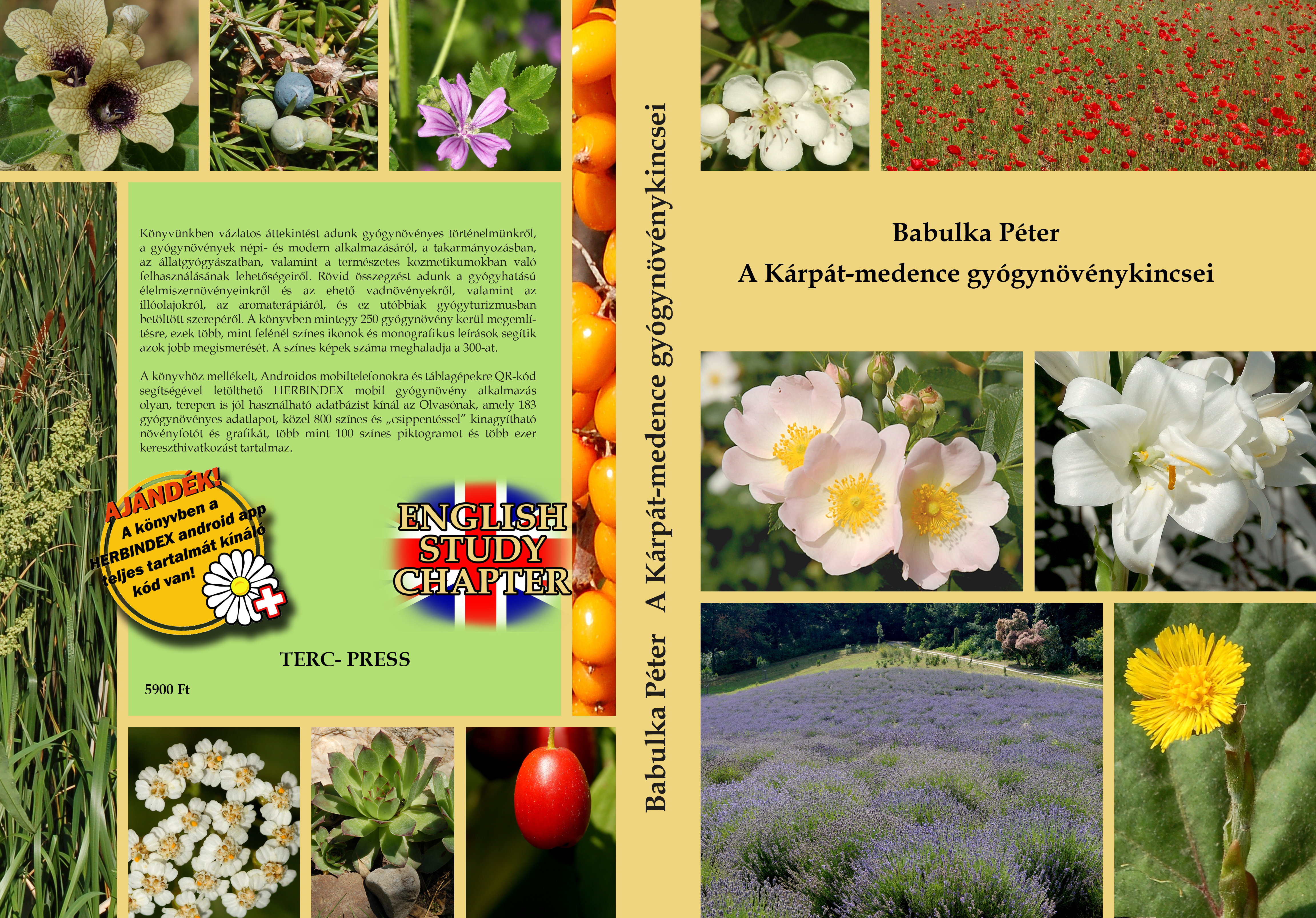 babulka konyvborito PRINT elokeszites 360×242and15-15-15-15mm textes